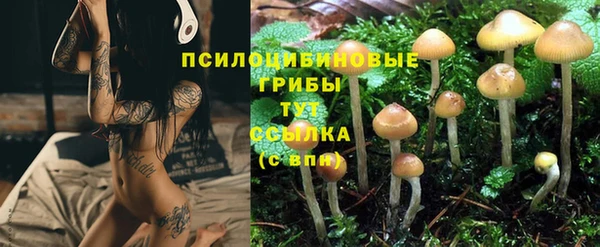 кокаин Алексеевка
