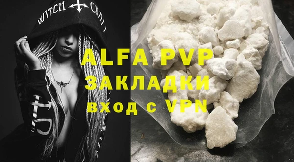 шишки Лабытнанги