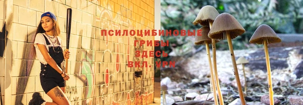 герыч Алексин