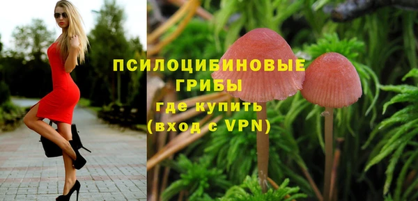 дурь Абдулино