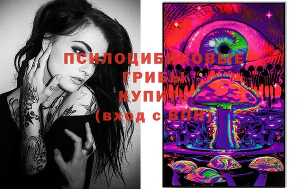круглые Алзамай